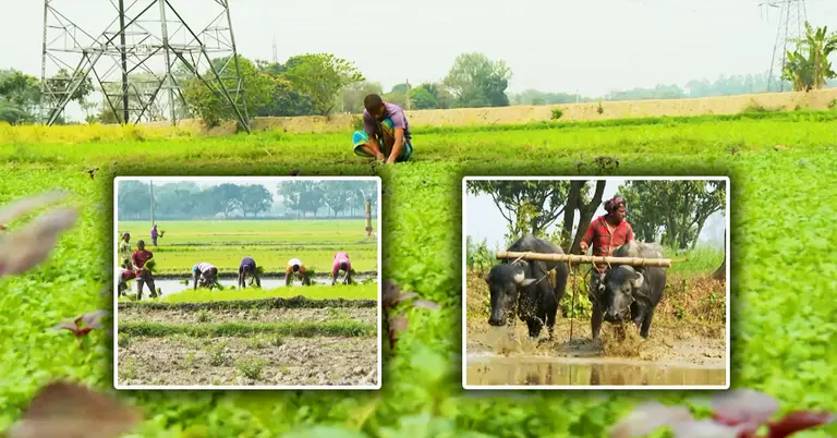 কৃষকদের ছবি